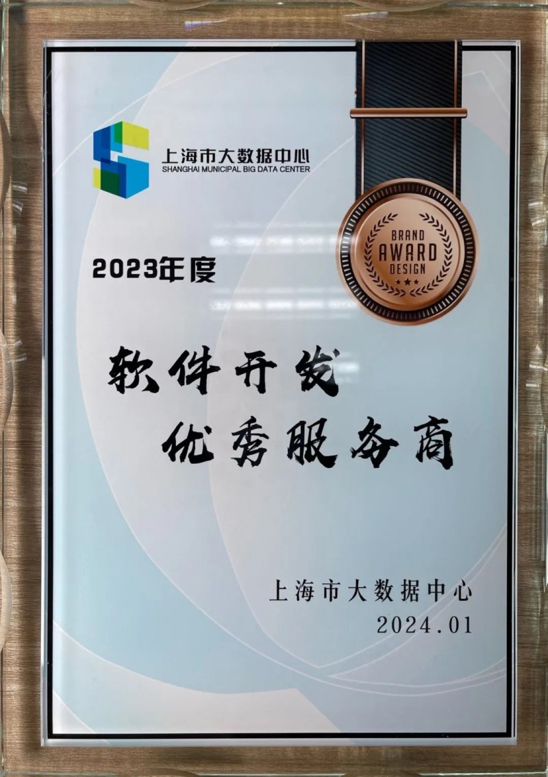 上海软件开发行业动态：创新与挑战同行
