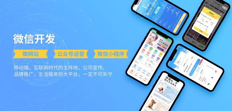 选择IT外包服务：一份详尽的选购指南